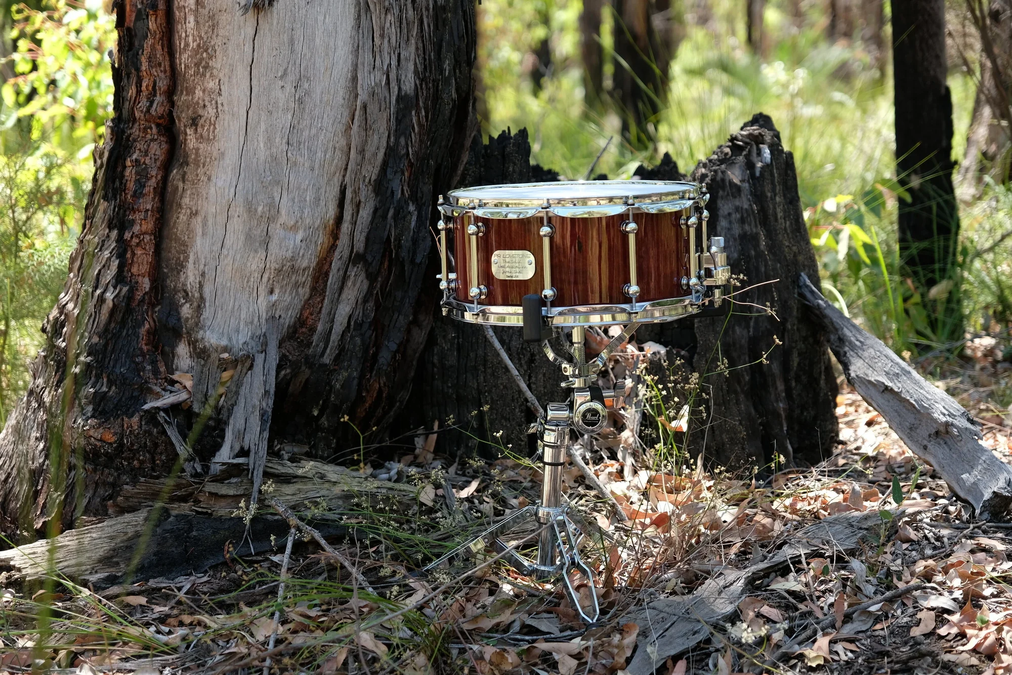 Jarrah 14”x6.5” (Gloss) — view 3