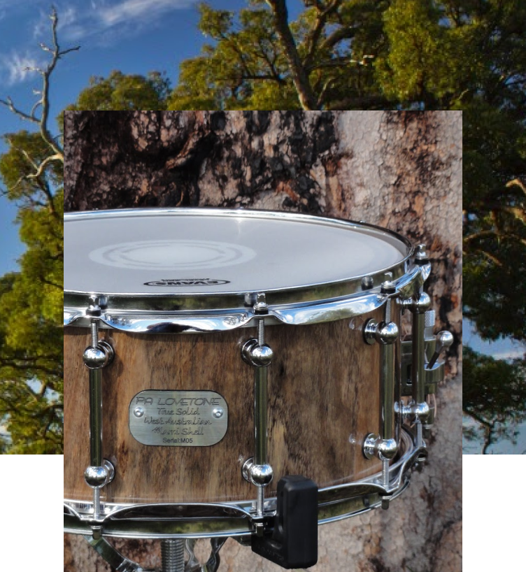 Marri snare drum against a West Australian tree