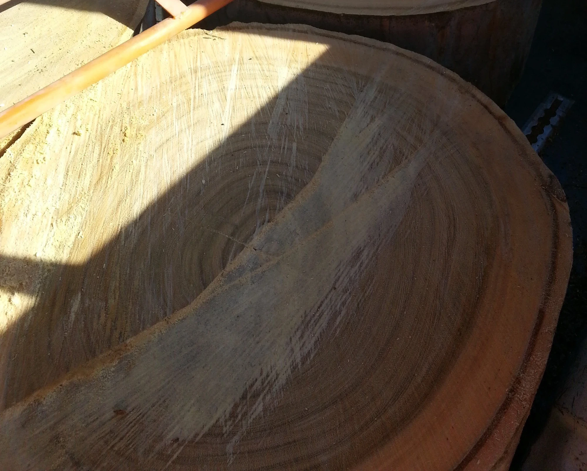 Lemon-scented gum end-grain